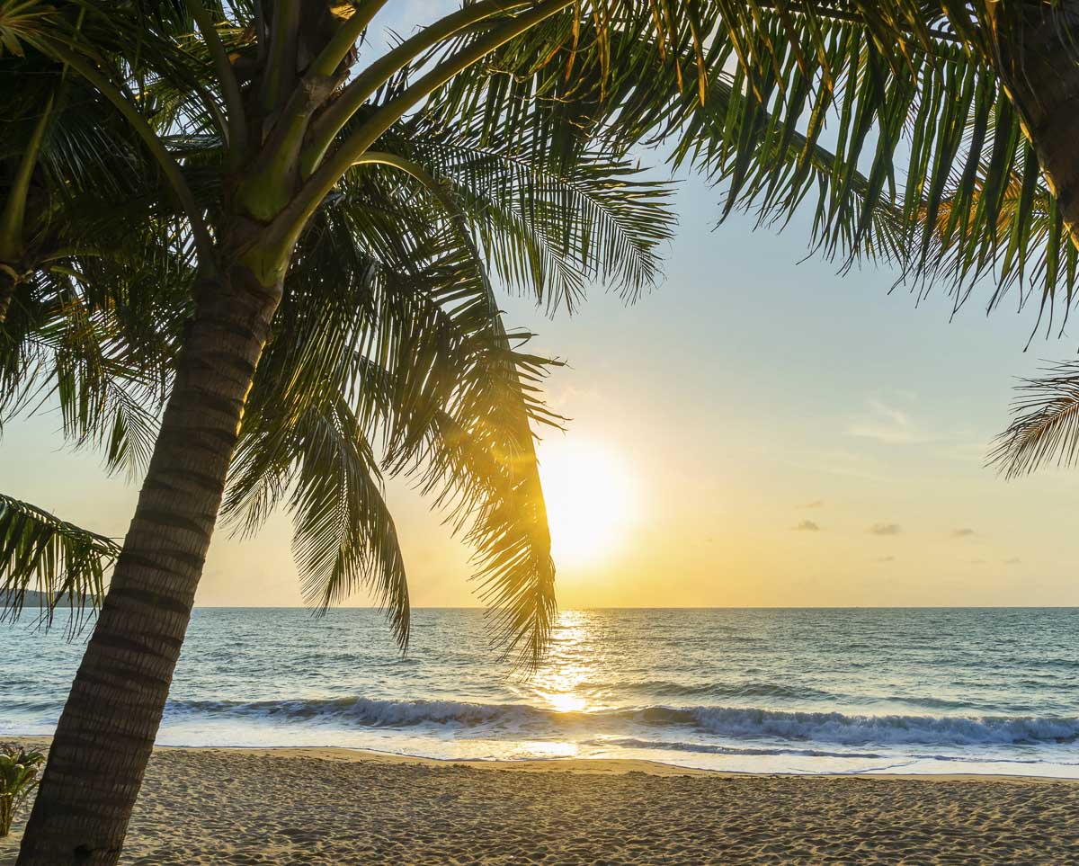 Sol se pondo no mar visto entre coqueiros em Koh Samui, com céu dourado e ondas suaves na areia.