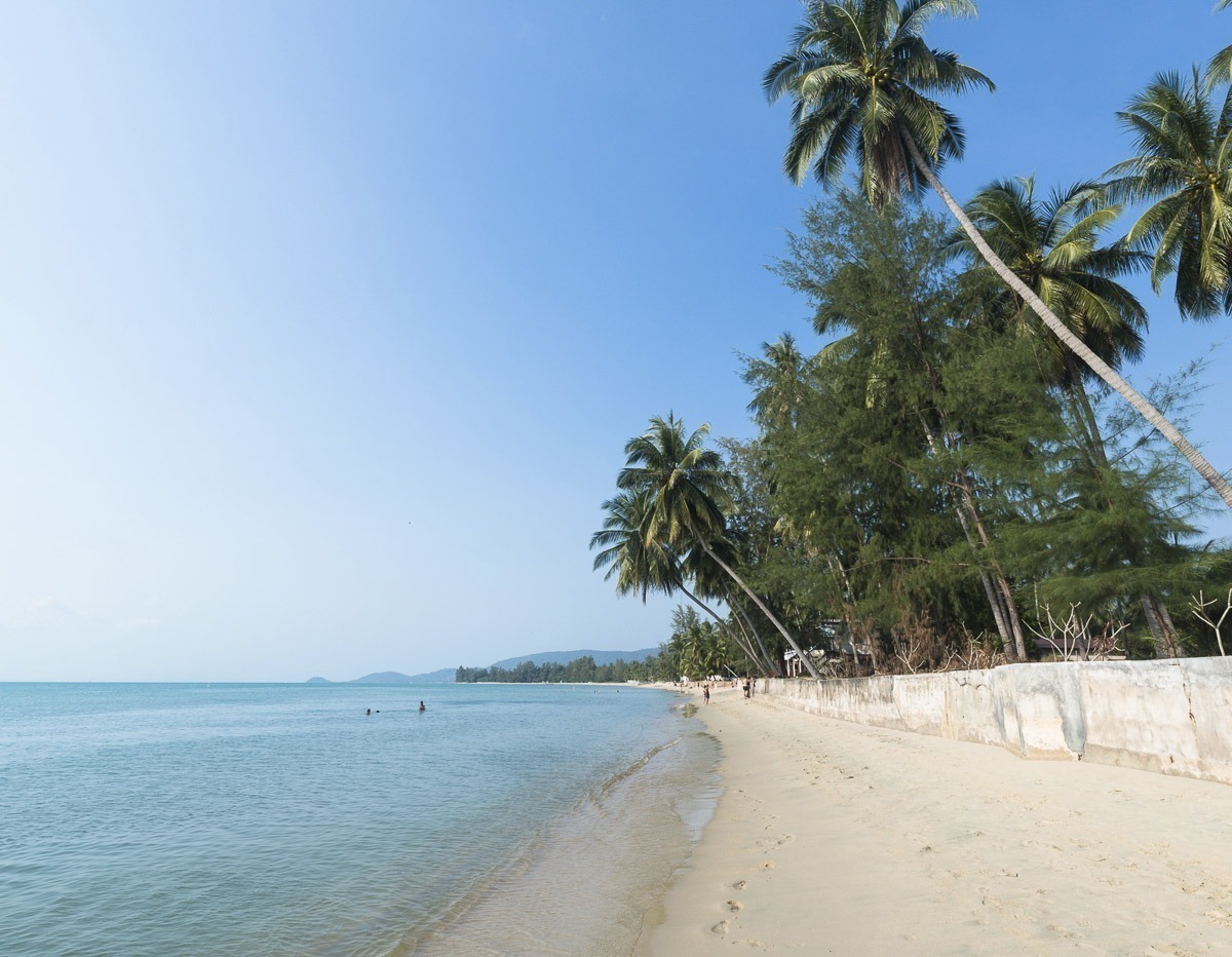 Praia deserta com areia clara, mar calmo e coqueiros inclinados sob céu azul em Koh Samui.