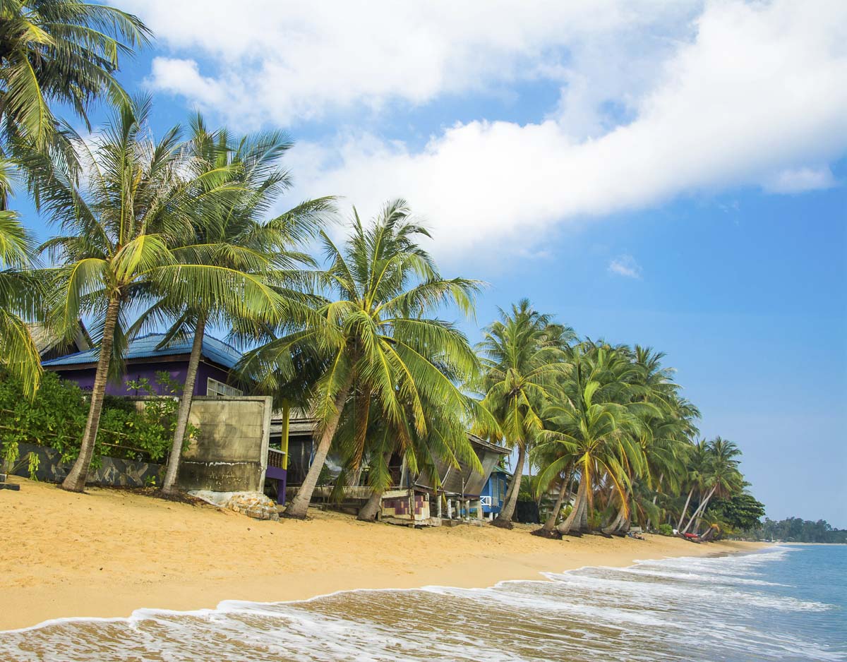 Casas à beira-mar cercadas por coqueiros em uma praia de areia dourada em Koh Samui.
