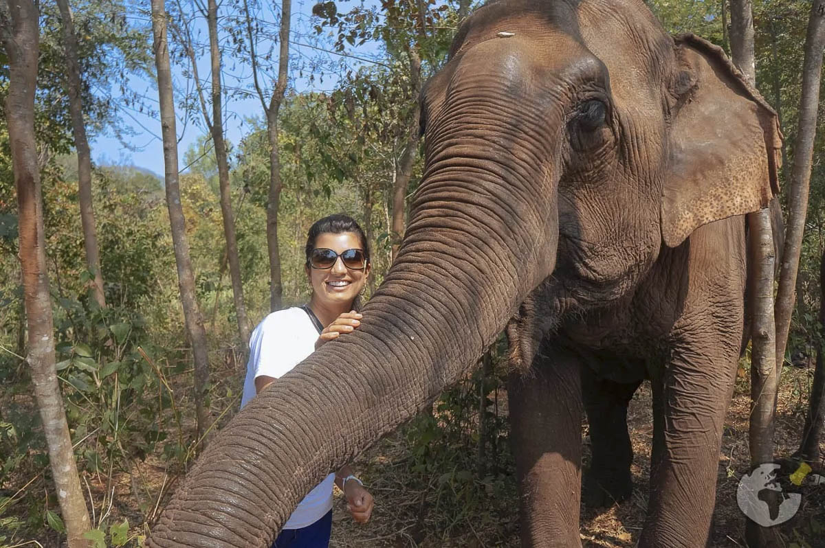 Mulher sorridente interage com elefante em meio à vegetação na Tailândia.