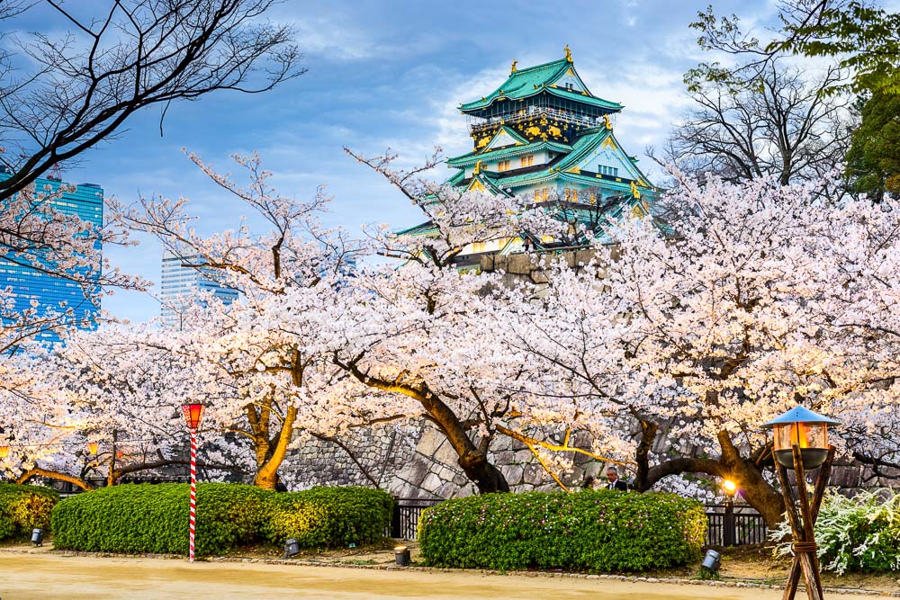 Castelo de Osaka emoldurado por cerejeiras, cenário clássico da primavera em Osaka.
