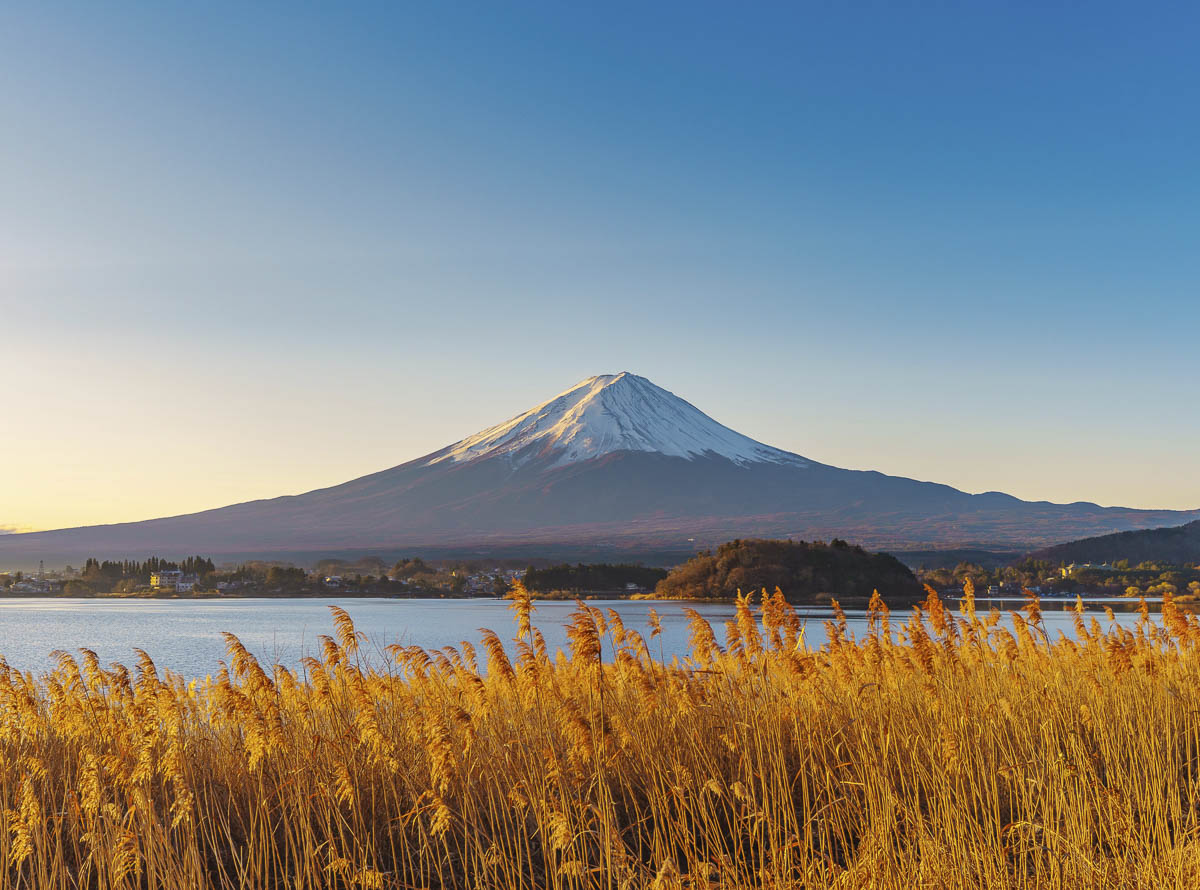 Monte Fuji visto do Oishi Park com lago e vegetação dourada em primeiro plano