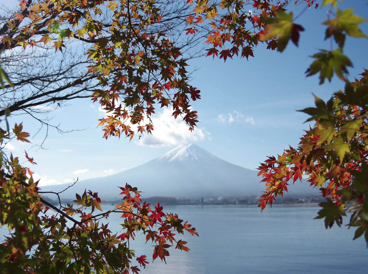 Monte Fuji visto através de folhas de outono à beira de um lago