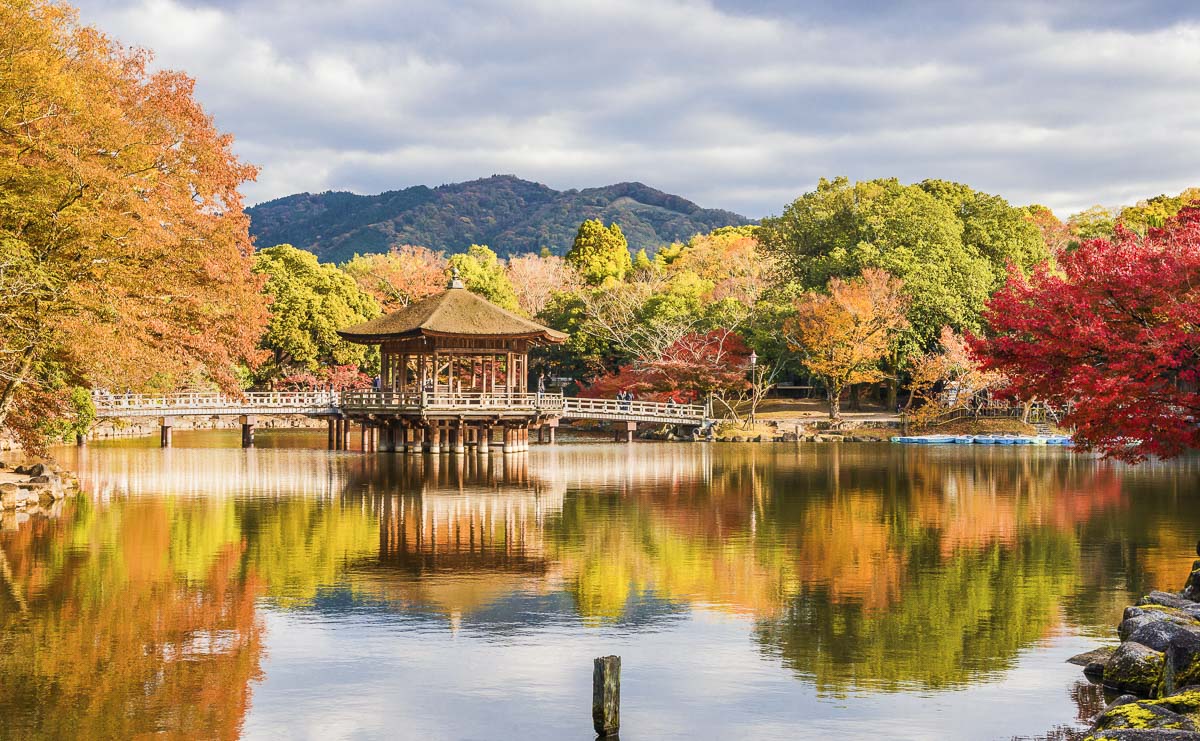 O que fazer em Nara: 7 melhores atrações na cidade dos cervos O que fazer em Nara: 7 melhores atrações na cidade dos cervos