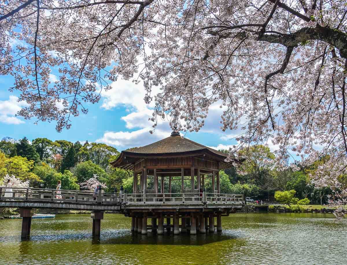 Lago no Parque de Nara cercado por árvores e construções tradicionais ao fundo.