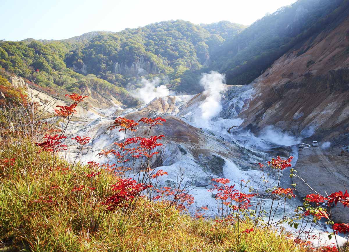 Área geotérmica do Parque Shikotsu-Toya, com solo esbranquiçado, vapor saindo do chão e vegetação ao redor.