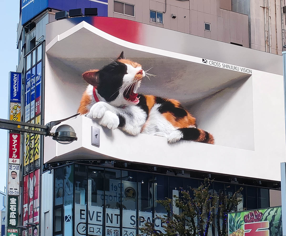 Painel 3D do gato gigante em Shinjuku, em Tokyo, sobre prédios comerciais