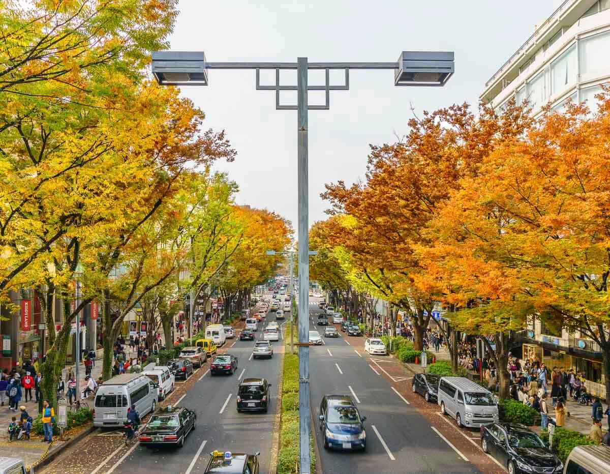 Avenida Omotesando em Tokyo, com árvores de outono, carros e pedestres.