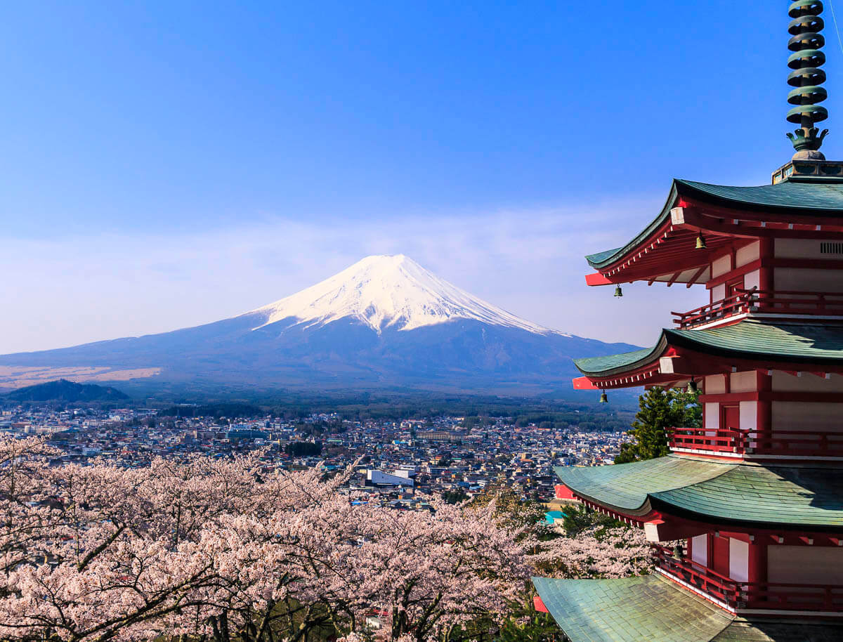 Monte Fuji visto ao fundo com templo tradicional e cerejeiras floridas no primeiro plano.