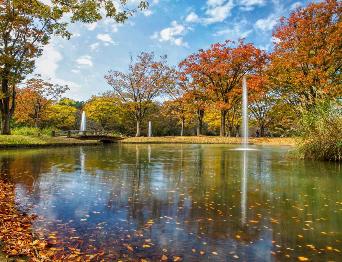 Lago do Yoyogi Park em Tokyo, cercado por árvores com folhas de outono