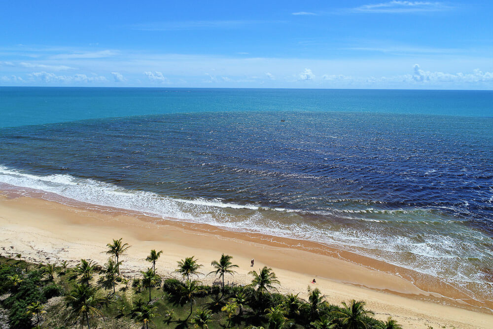 Praia de Caraíva com mar azul, faixa longa de areia e coqueiros na restinga.
