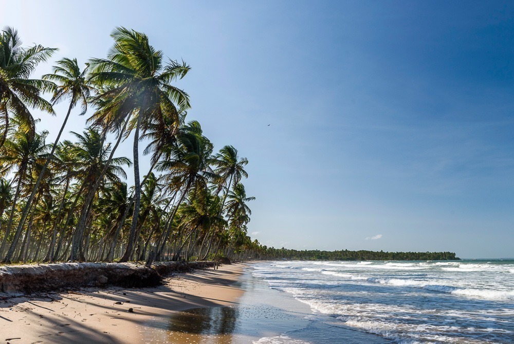Praia da Cueira em Boipeba com coqueiral extenso e ondas quebrando na areia