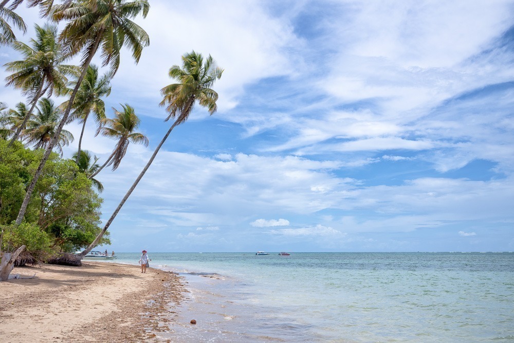 Praia de Moreré em Boipeba com coqueiros inclinados e mar calmo em tons de verde