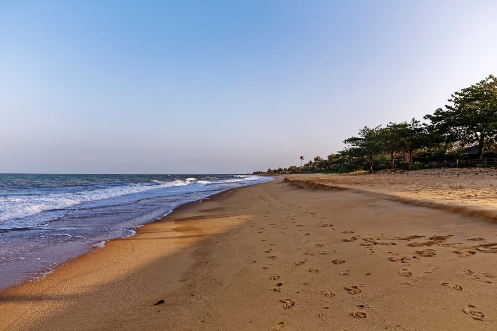 Praia de Caraíva com areia lisa cheia de pegadas, mar vindo de lado e árvores acompanhando a faixa de areia.