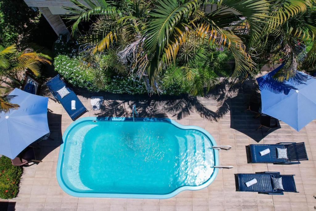 Piscina da Pousada Som dos Pássaros em Porto de Galinhas cercada por espreguiçadeiras e plantas
