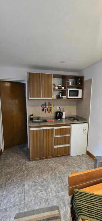 Cozinha compacta do Apart Guillaumet, em El Chaltén, com micro-ondas, frigobar e utensílios.