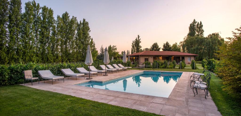 Área externa com piscina e espreguiçadeiras na Finca Verde Oliva Wine and Olive Estate em Mendoza, cercada por vinhedos ao entardecer.